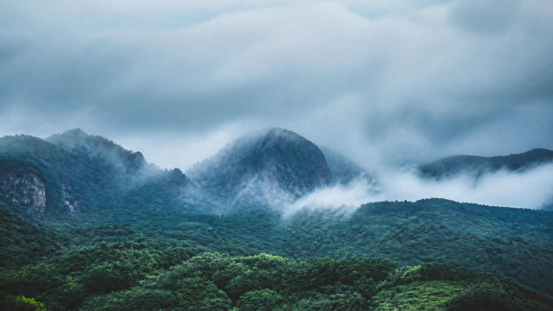 Ritucharya: cómo adaptar tu rutina a la temporada de lluvias en México